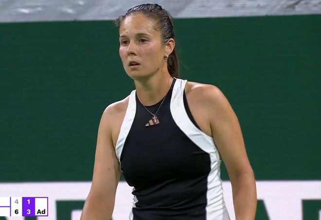 让它在搜索 让它在搜索