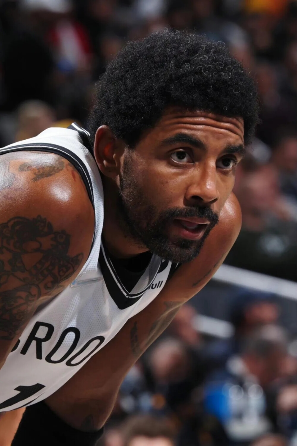 球迷都对球 球迷都对球